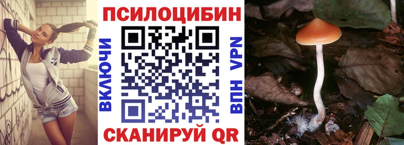 Псилоцибиновые грибы Cubensis  купить   Апатиты 