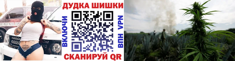 hydra зеркало  Апатиты  Бошки Шишки план 